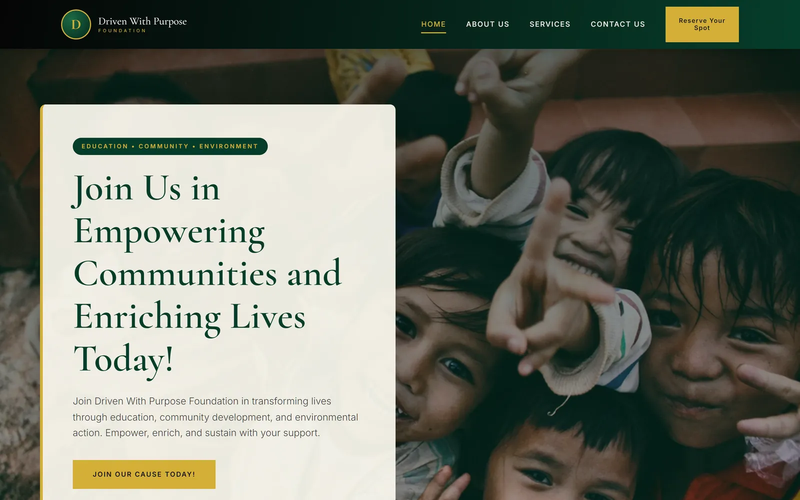 Driven With Purpose Foundation, the live site